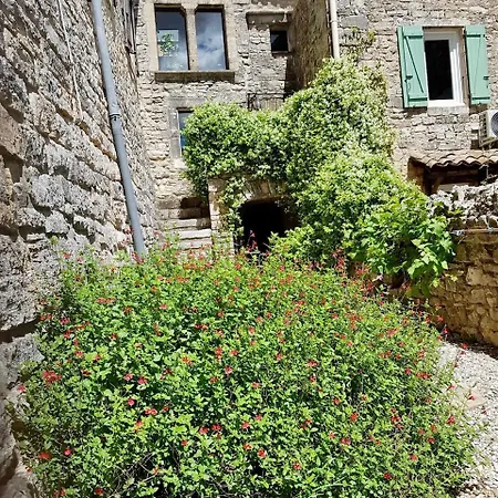 Petite Maison De Village, Lumineuse Et Silencieuse 別荘 Issirac